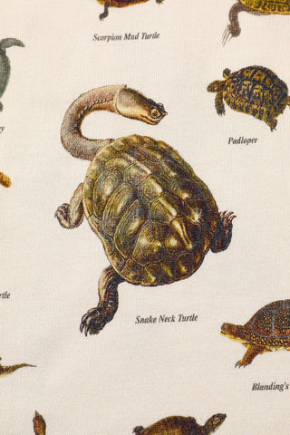 Turtles Kids Tee