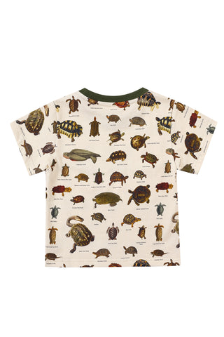 Turtles Kids Tee