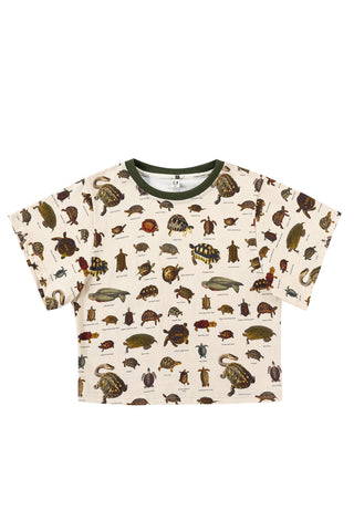 Turtles Cotton Tommy Tee