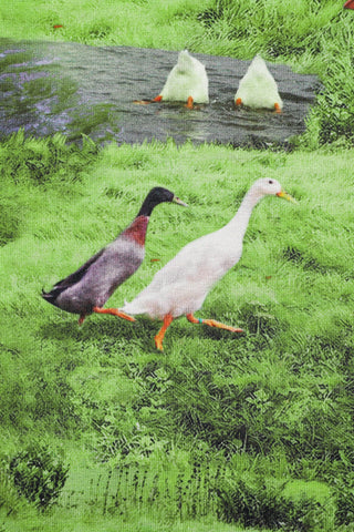 Halter Dress Worst Ducks