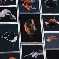 Cute Fish Cotton Spandex Pants