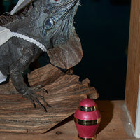 Fashion Brand Company Mini Lizard Urn