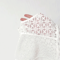 White Lace Long Sleeve Blouse