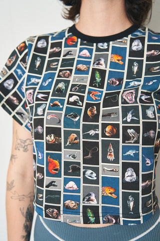 Cuter Fish Cotton Tommy Tee