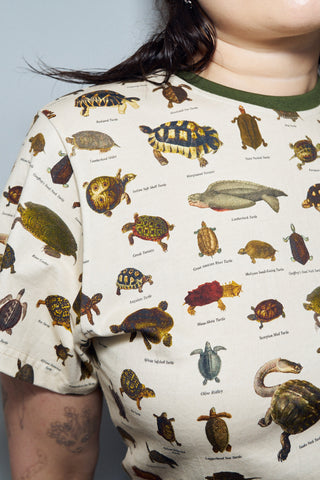 Turtles Cotton Tommy Tee
