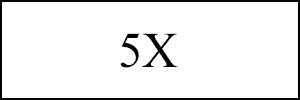 5X Sale