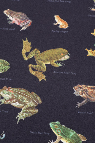 The Acrobat Favorite Frogs Swimsuit