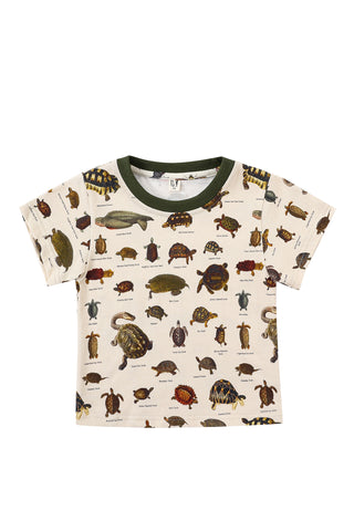 Turtles Kids Tee