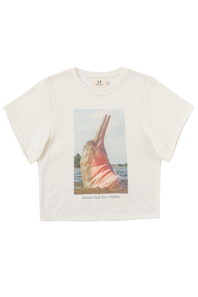 Amazon Pink River Dolphin Wool Blend Tommy Tee – Fashion