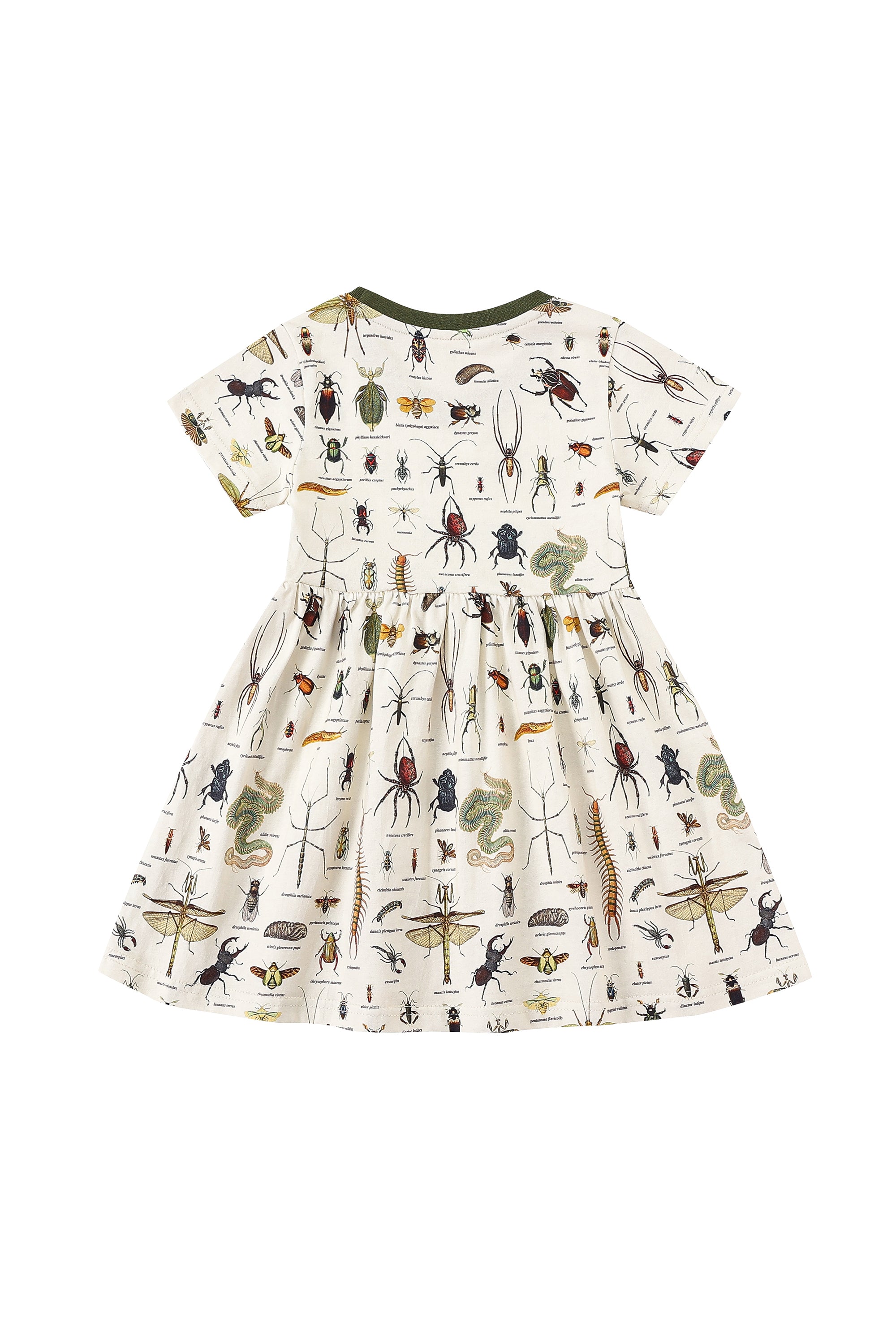 fashion brand company bug dress Moth Mini Dress 3X