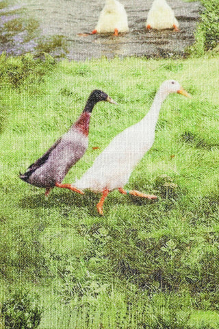 Soft Linen Button Down Tank Ducks