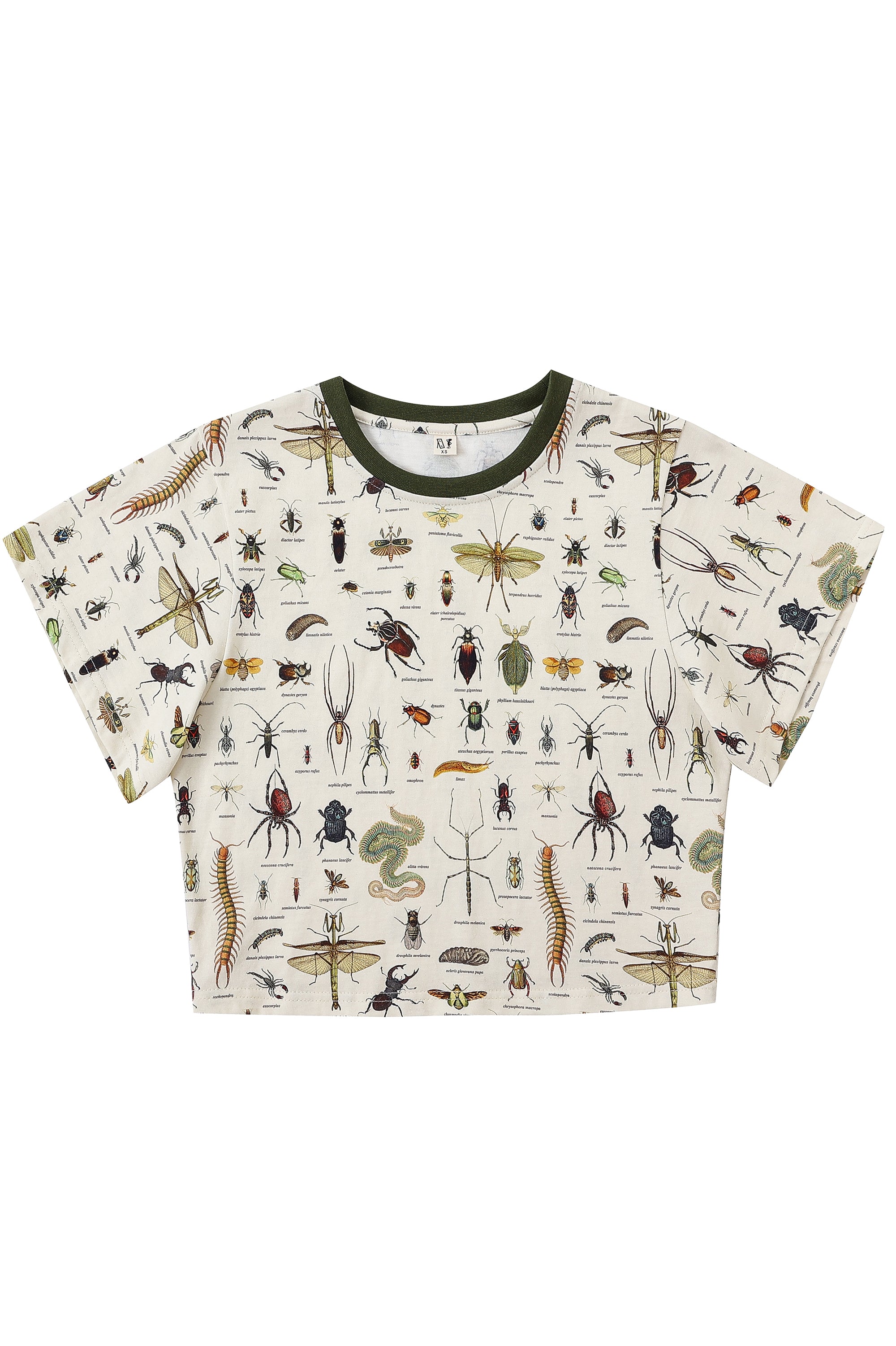 5 left - Worst Bugs Cotton Tommy Tee 1X / Worst Bugs 5 left - Worst Bugs Cotton Tommy Tee 1X / Worst Bugs