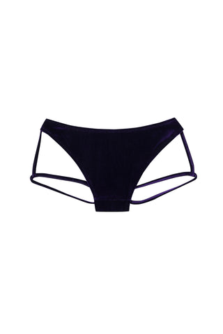 Diana Bear Velvet Rose Low Rise Garter Briefs