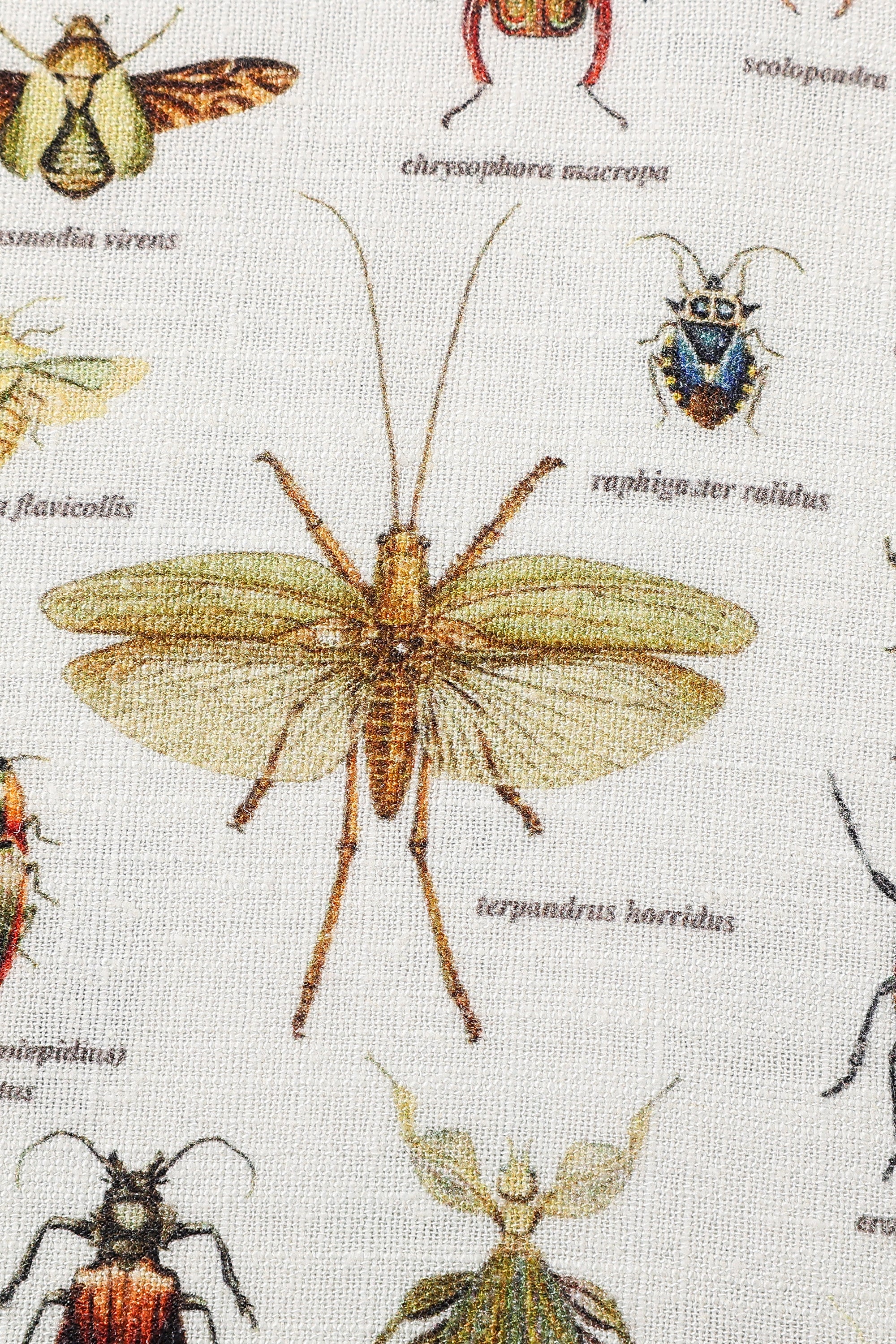 Park Skirt Soft Linen Worst Bugs 1X / Worst Bugs Park Skirt Soft Linen Worst Bugs 1X / Worst Bugs