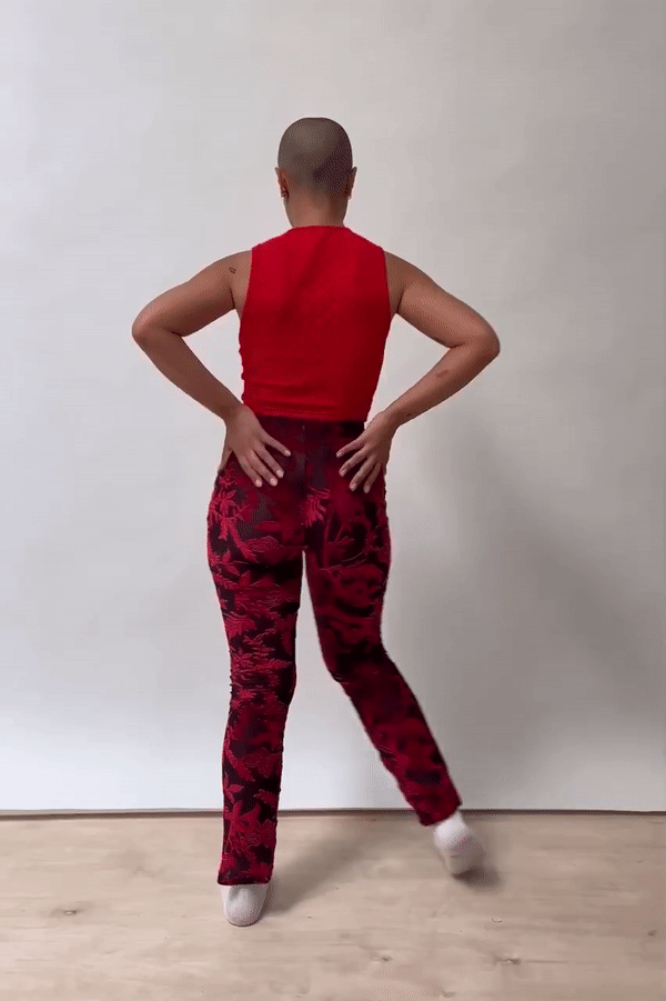 Metamorphoses Mesh Velvet Pants