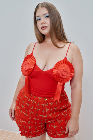 XL 