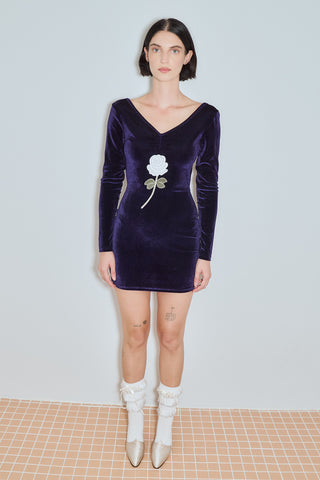 Diana Bear Velvet Rose Backless Mini Dress