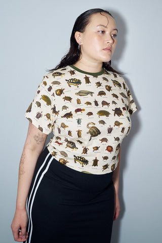 XL