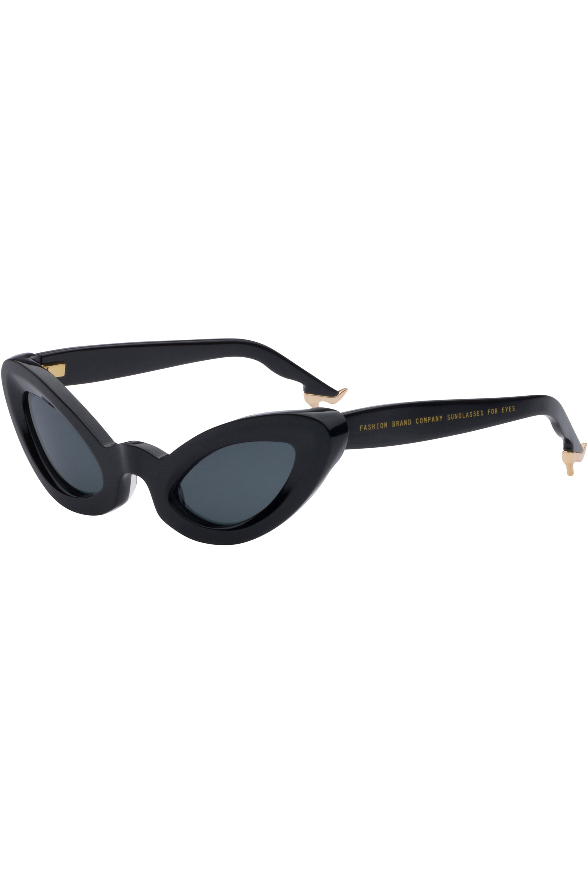 Lizard Sunglasses Black – Fashion Brand Company