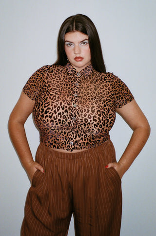 XL