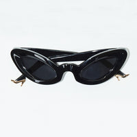 Lizard Sunglasses Black