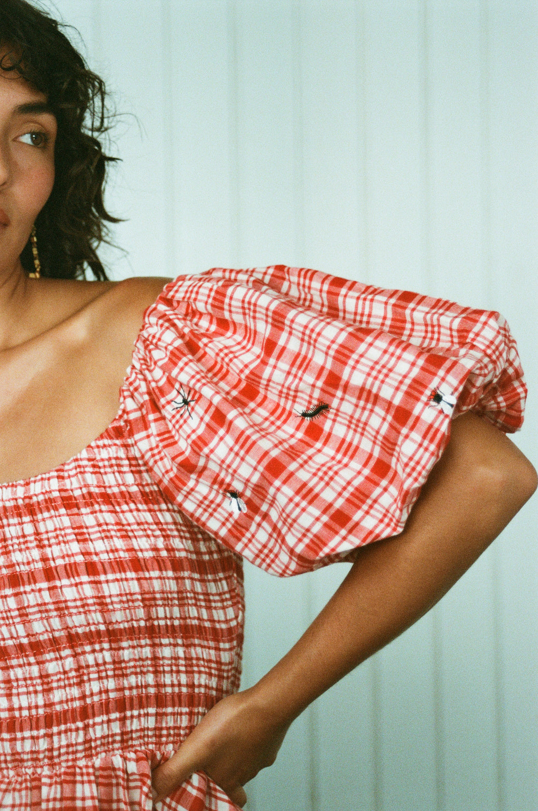 Ruined Picnic Dress
