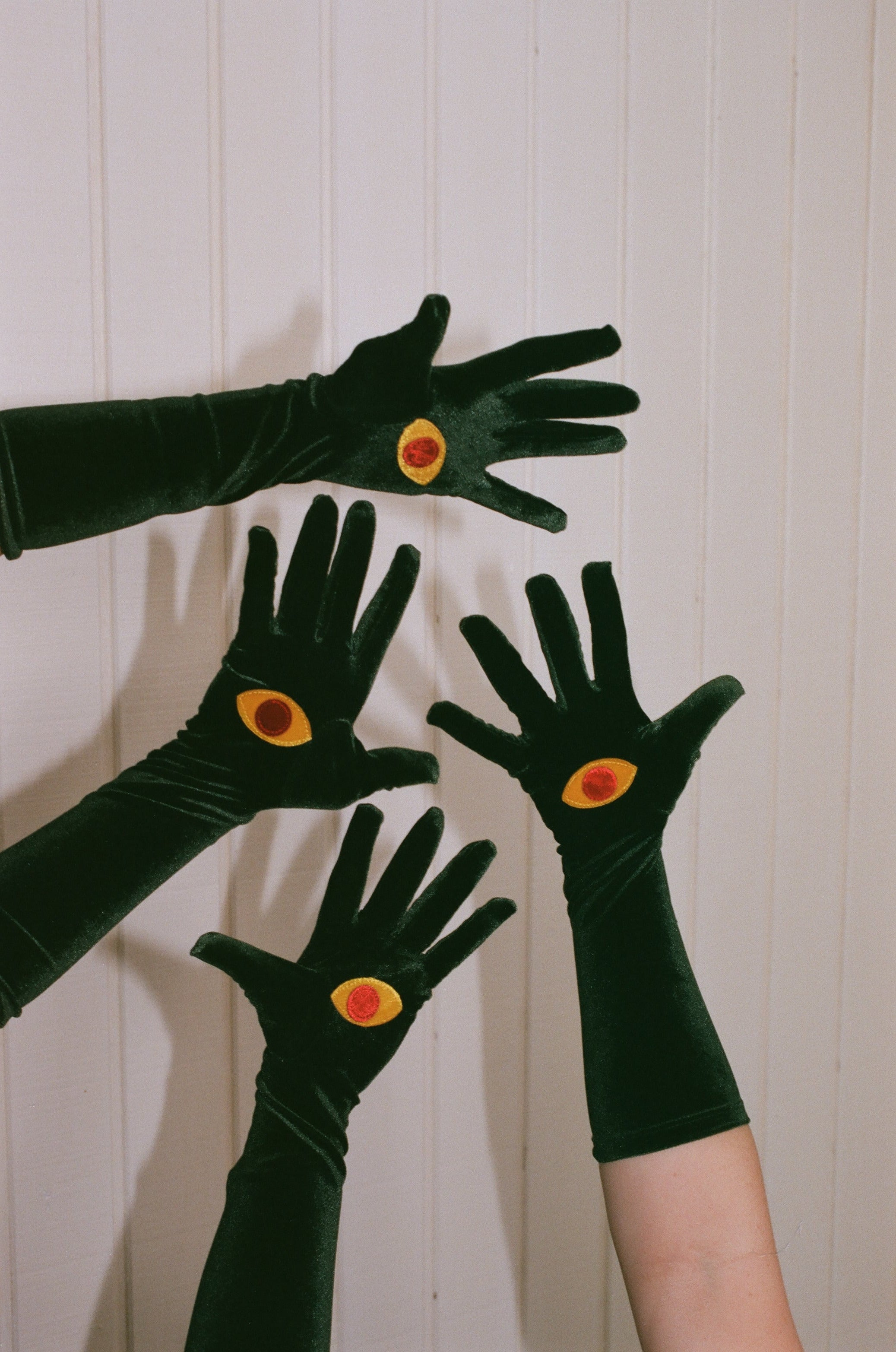 Moth Gloves Moth Gloves