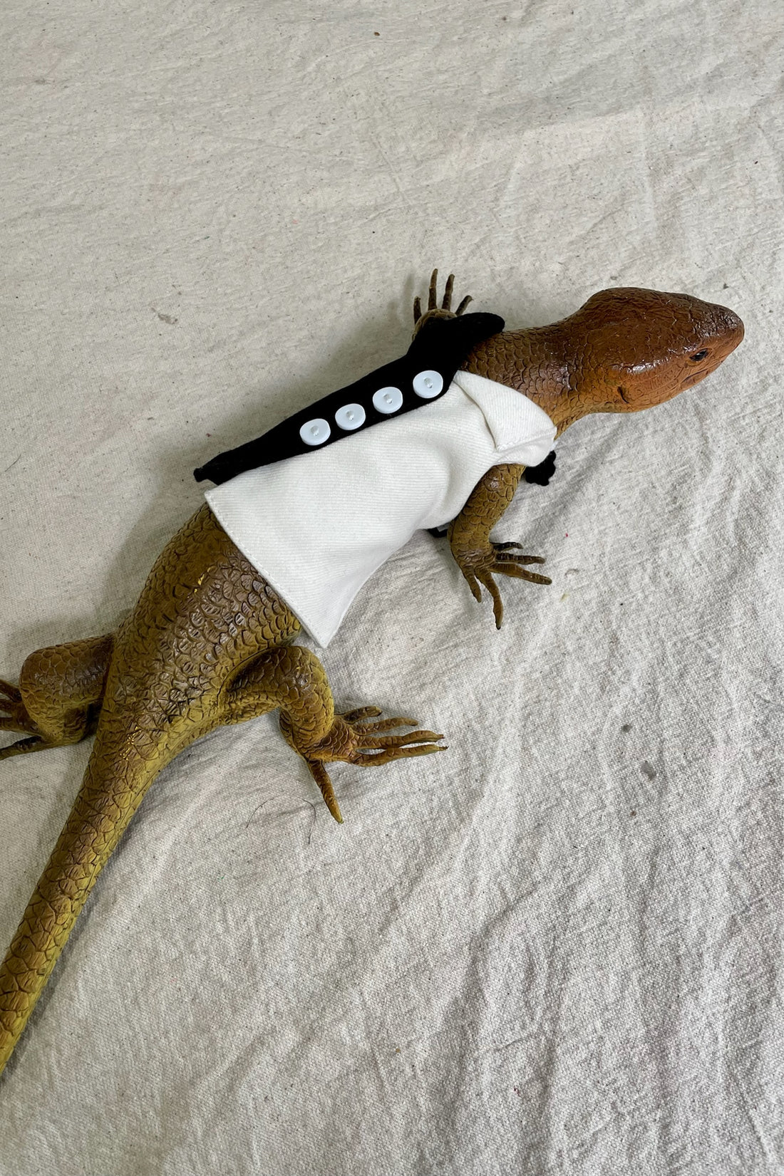 Lizard Black and White Directors Jumpsuit