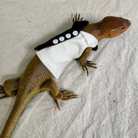 Lizard Black and White Directors Jumpsuit