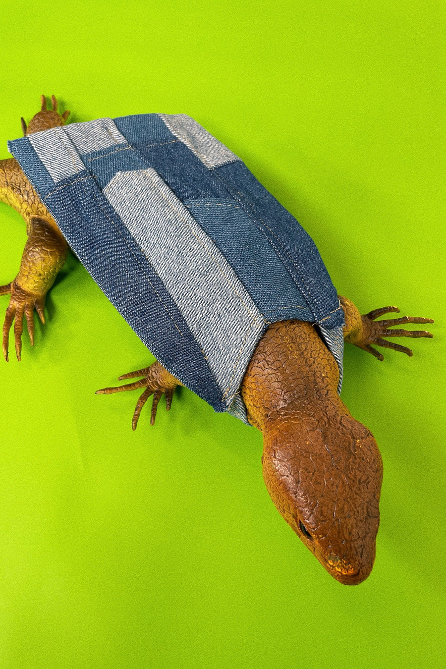 Lizard Brit Denim Gown