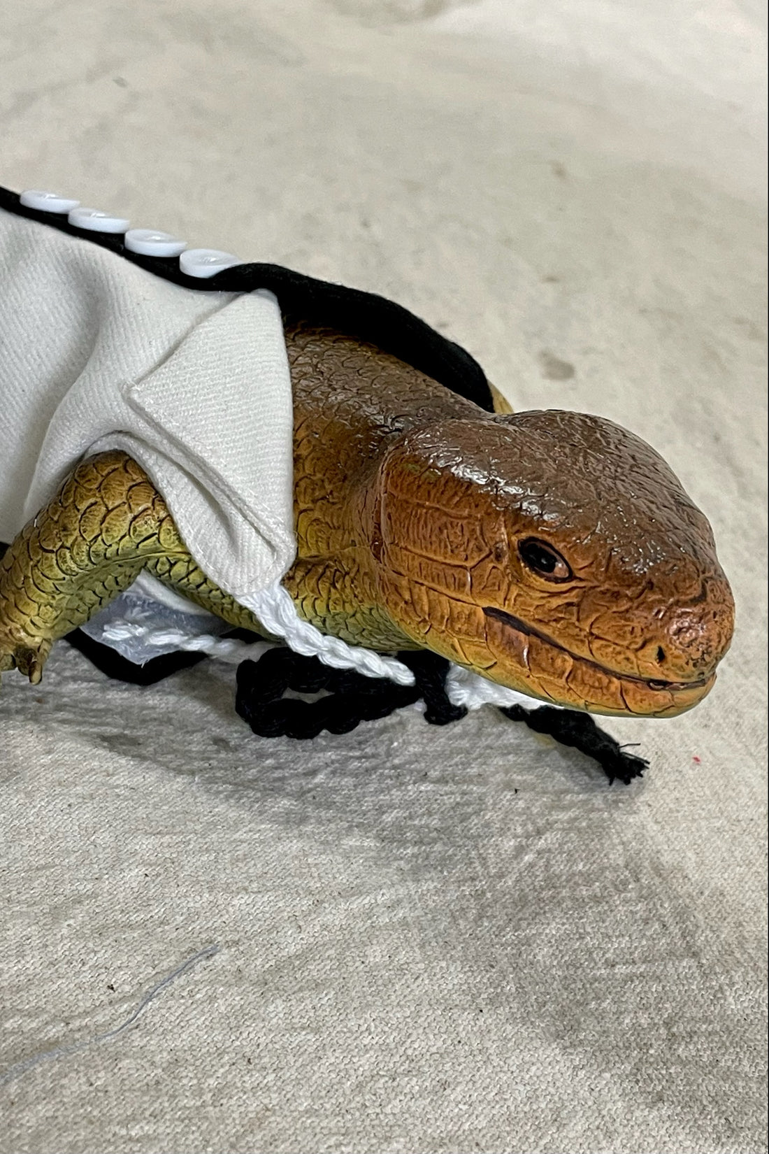 Lizard Black and White Directors Jumpsuit
