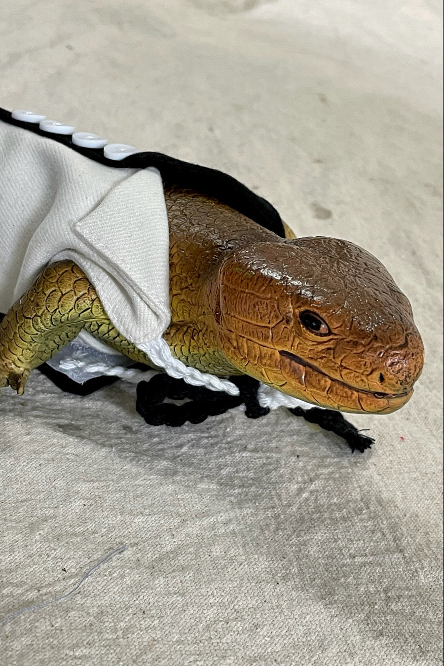 Lizard Black and White Directors Jumpsuit